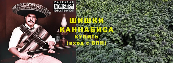 шишки Верхний Тагил