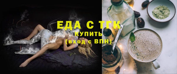 шишки Верхний Тагил