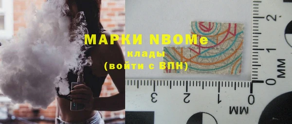 шишки Верхний Тагил