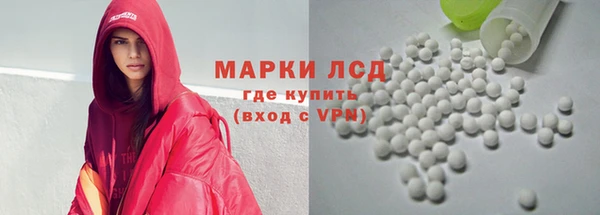 шишки Верхний Тагил