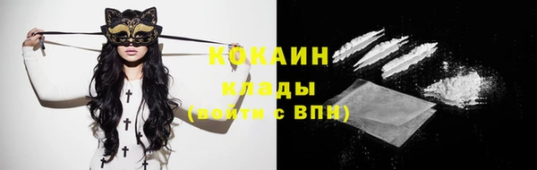 шишки Верхний Тагил