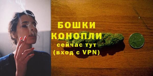 шишки Верхний Тагил