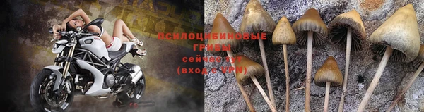 прущие крисы Верхнеуральск