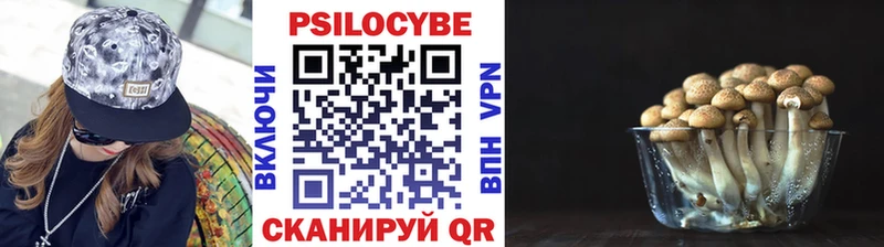 Псилоцибиновые грибы MAGIC MUSHROOMS ссылка на мегу как войти Выборг